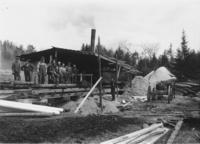 Workers in front of Wardsboro Sawmill, Wardsboro, Vt.