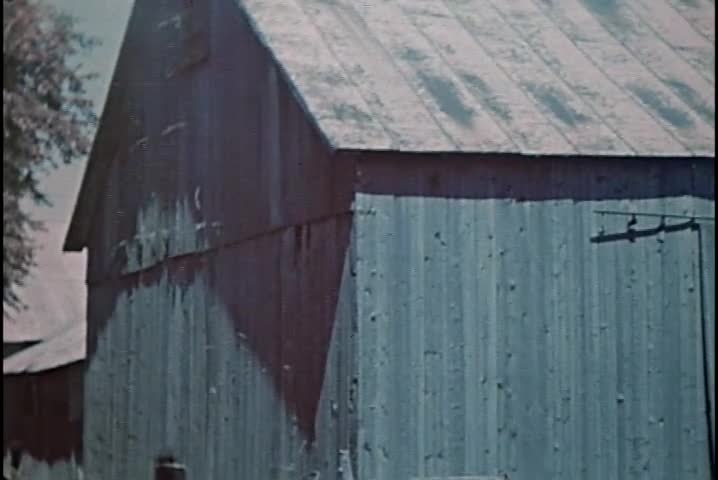 The Buck Rake, Wind Stackers, and Field Chopper in Use