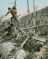 Dean walking along trees on Mount Hunger