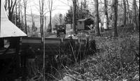 Workers setting up an experiment in the sugar bush