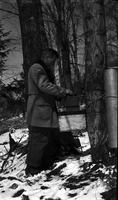 Worker checking experiment box